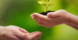 Net Zero and Carbon Neutrality standards are now for your Environmental Management
Systems